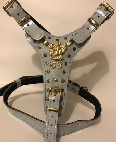 Dog harness real - harness,
