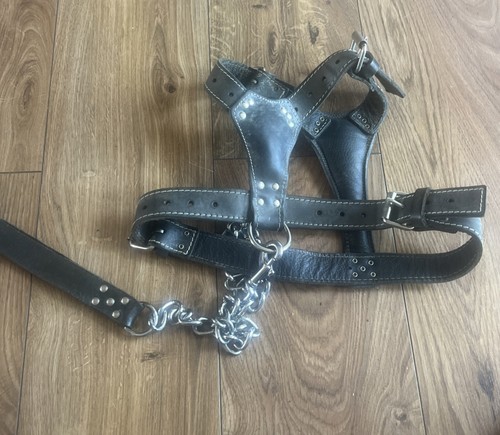 Blackleather dog harness - blackleather,