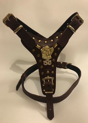 Dog harness real - harness,