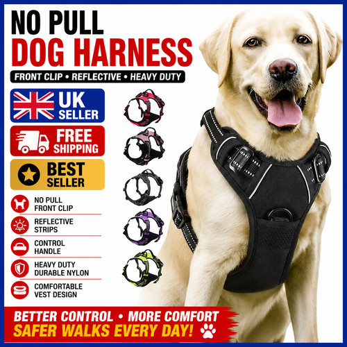 Pull dog harness - pull, front
