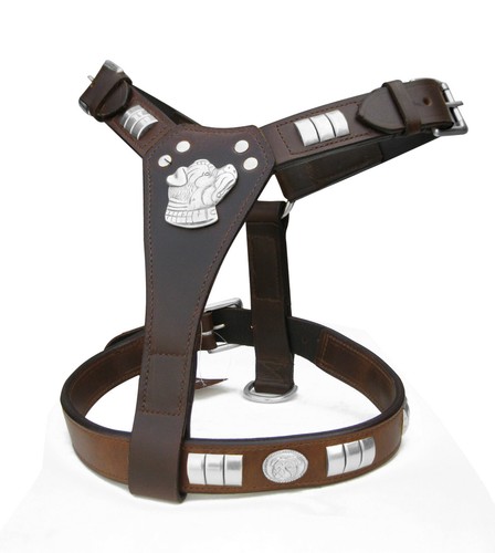 Staffy designer leather - staffy,