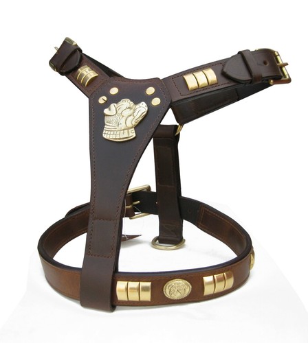 Leather staffy designer dog - designer,