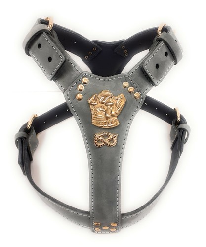 Grey leather dog harness - dog, with