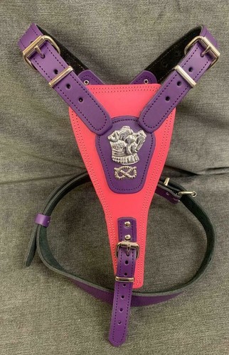 Dog harness real - dog,