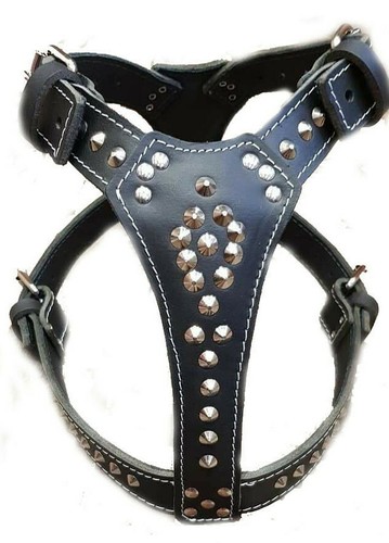 Beautiful studded black - studded,