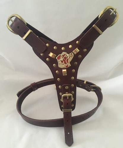 Dog harness real - dog,