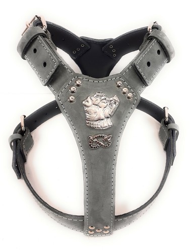 Grey leather dog - grey,