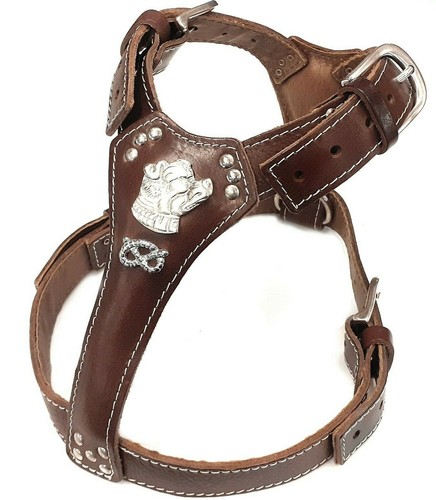 Brown leather dog harness - dog,