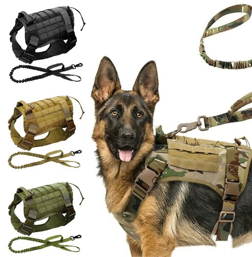 Military training vest - training, k9